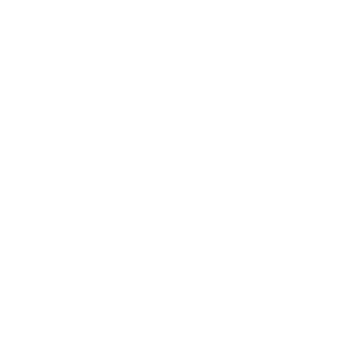 Mission Icon