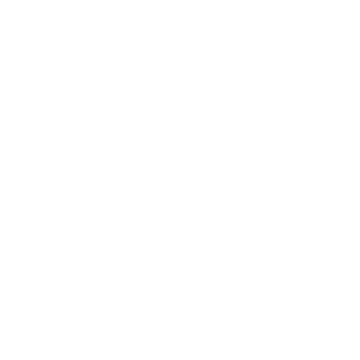 Vision Icon
